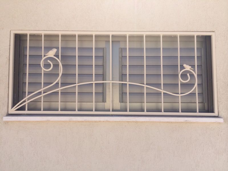 סורג מקושט ציפורים - צבע 2040